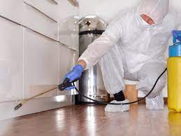 Office And Home Sanitization Service in Delhi,